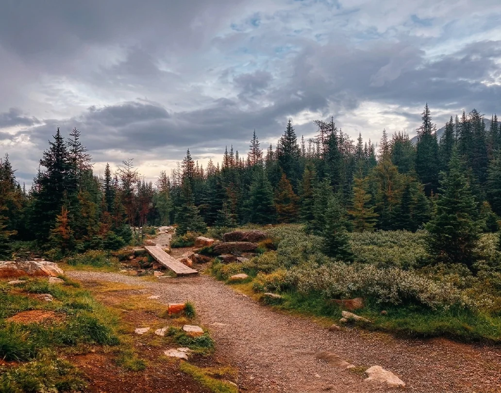 Forest hiking trail with wooden plank bridge under cloudy sky