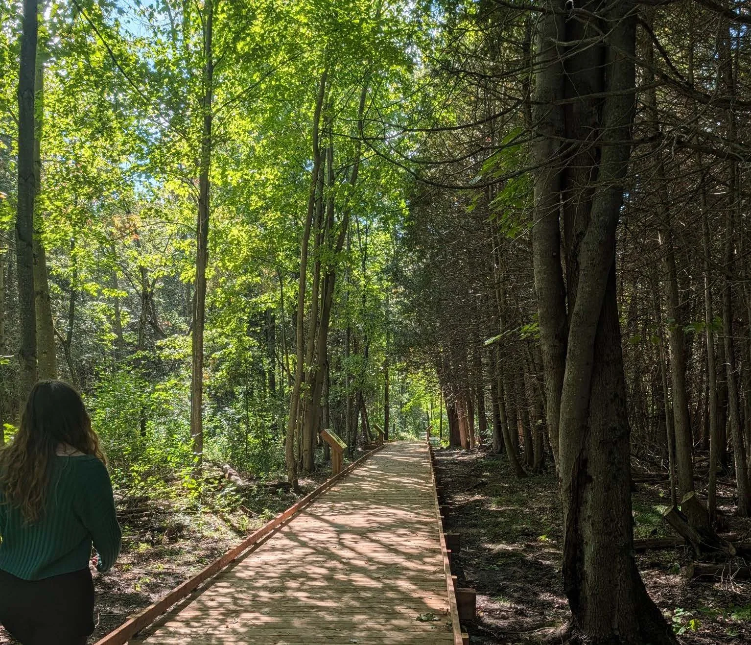 Boardwalk experience through the forest at Baxter Beach