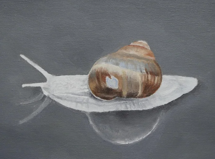 Snail on a leaf